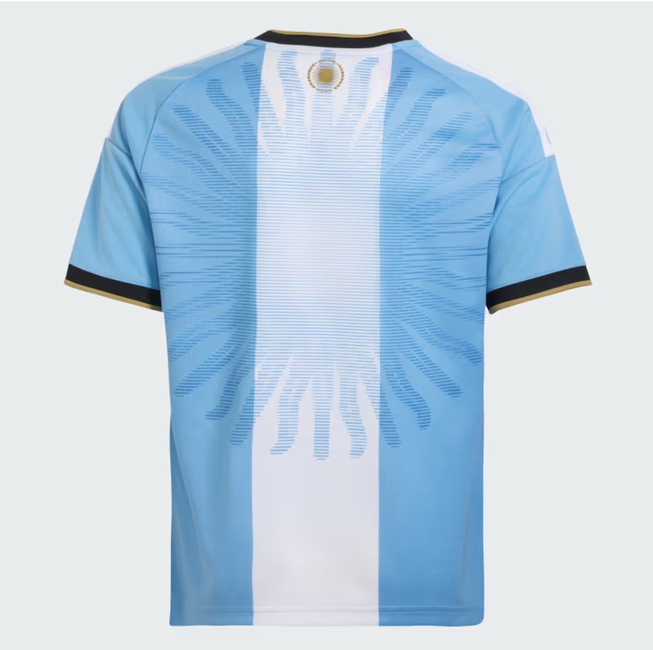 Argentina Messi Farewell Shirt (Name/Number added at extra cost) - Image 3